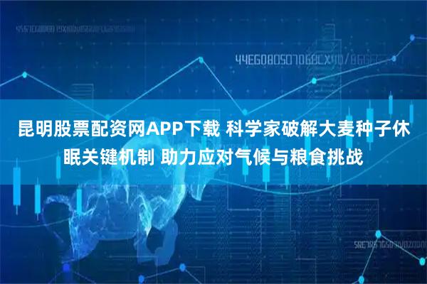 昆明股票配资网APP下载 科学家破解大麦种子休眠关键机制 助力应对气候与粮食挑战