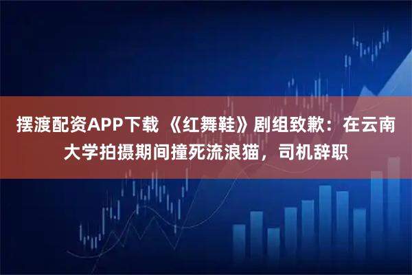 摆渡配资APP下载 《红舞鞋》剧组致歉：在云南大学拍摄期间撞死流浪猫，司机辞职