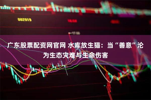 广东股票配资网官网 水库放生猫：当“善意”沦为生态灾难与生命伤害