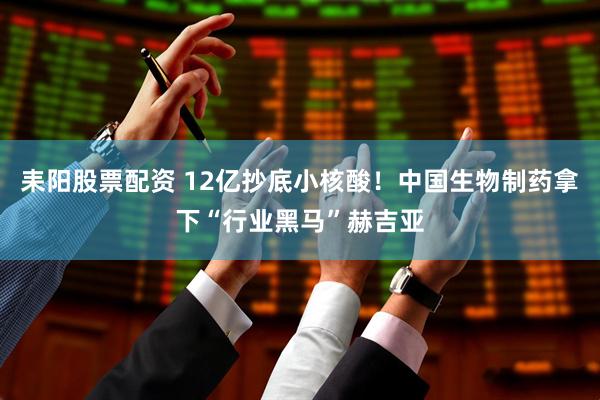 耒阳股票配资 12亿抄底小核酸！中国生物制药拿下“行业黑马”赫吉亚