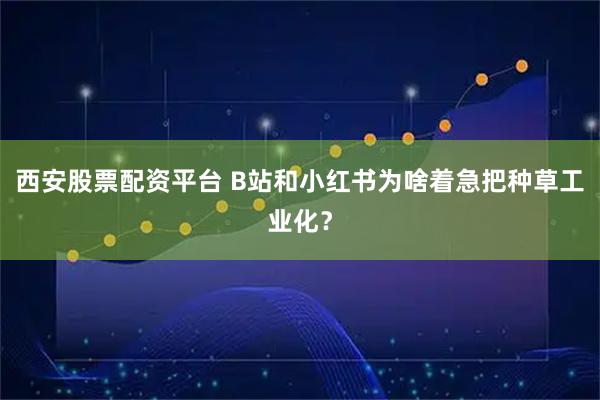 西安股票配资平台 B站和小红书为啥着急把种草工业化？