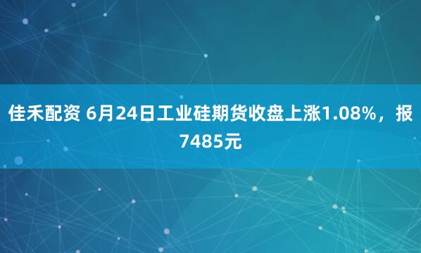 佳禾配资 6月24日工业硅期货收盘上涨1.08%，报7485元