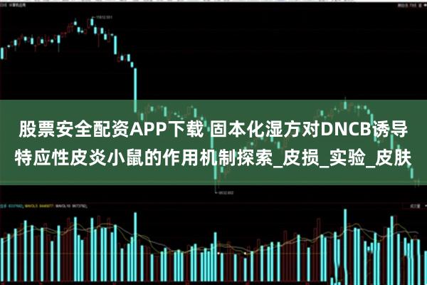 股票安全配资APP下载 固本化湿方对DNCB诱导特应性皮炎小鼠的作用机制探索_皮损_实验_皮肤